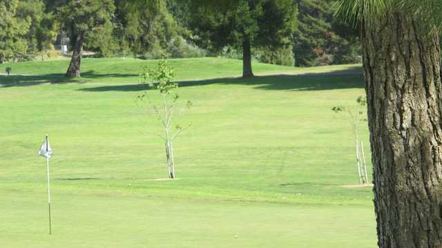 A view of a hole at Blacklake Golf Resort