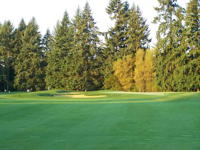 A sunny day view from a fairway at Chehalem Glenn Golf Club.