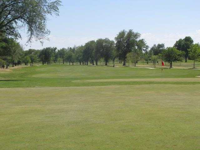 A view of a hole and a fairway at Carey Park Golf Course