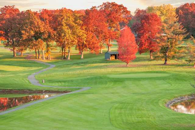 A view of a green protected by fall coloured trees at A. J. Jolly Golf Course