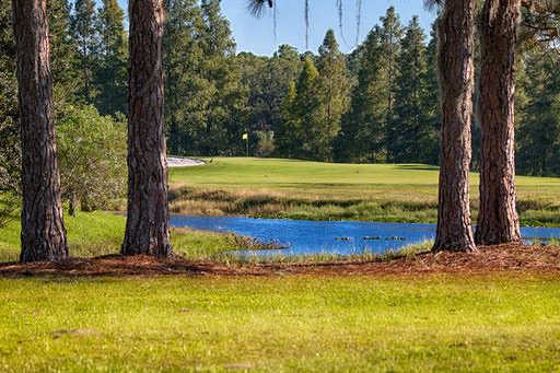 A view from Eagles Golf Club