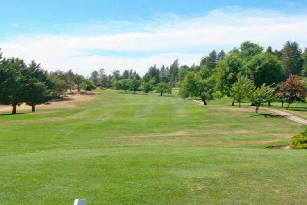 A view from a tee at Nevada County Country Club