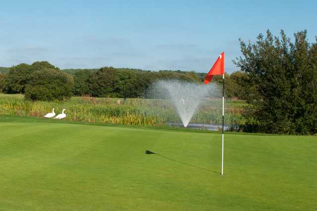 A view of a hole at Playgolf Bournemouth