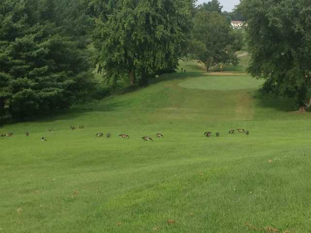 A view from a fairway at Golf Club of West Virginia