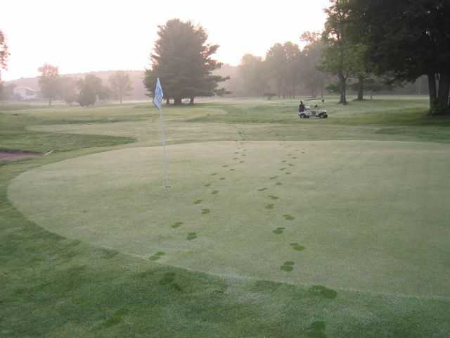 A view of a green at Sweet Water Golf Course