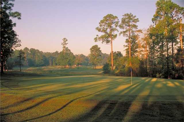 A view of a green at Brazell's Creek Golf Course