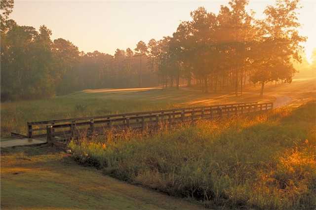 A sunny day view from Brazell's Creek Golf Course