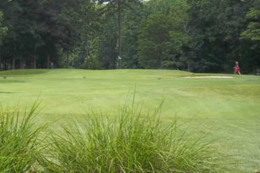 A view of a fairway from Pines At Clermont