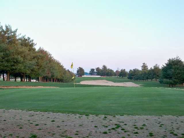 A view of a hole surrounded by bunkers at The Pines from Lindsey Wilson