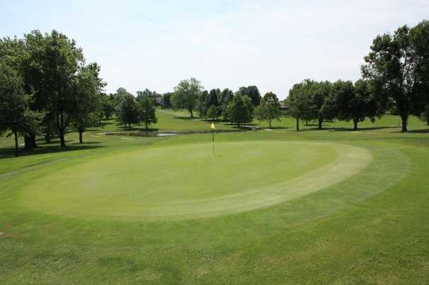 A view of the 18th green at Shirkey Golf Club