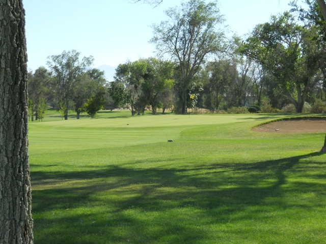 A view of the 10th green at Apple Valley Golf Course