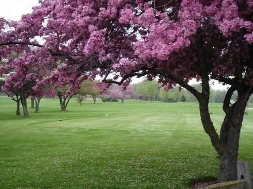 A view of a tee at Shiloh Park Golf Course