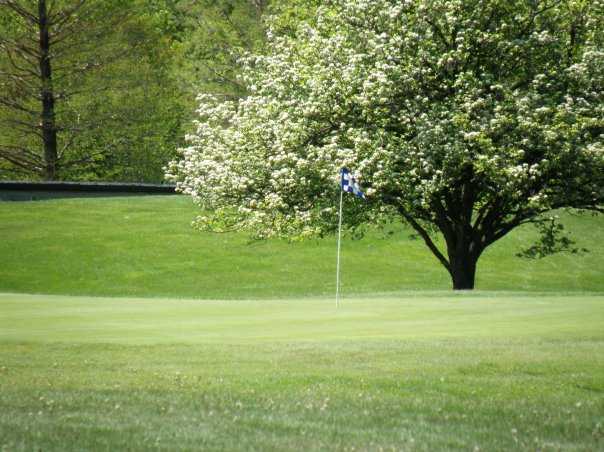 A view of the 6th green at Par 3 from Winnetka Golf Club