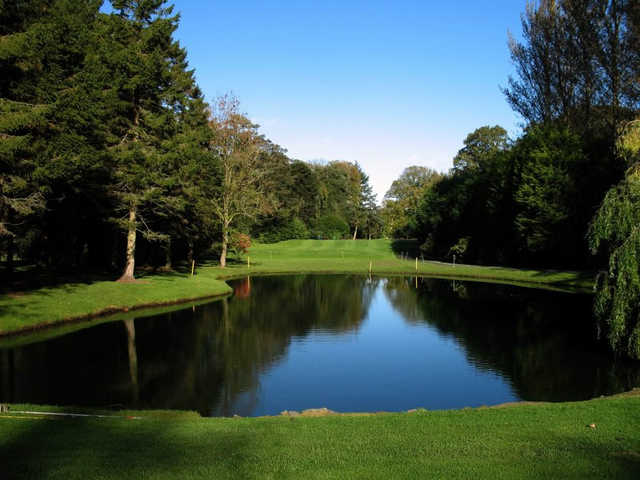 No. 6 - known as Larch Grove - is the signature hole of Lisburn Golf Club.