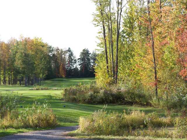 A view of a tee at Rogues Roost Golf & Country Club