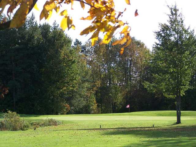 A sunny day view of a green at Rogues Roost Golf & Country Club