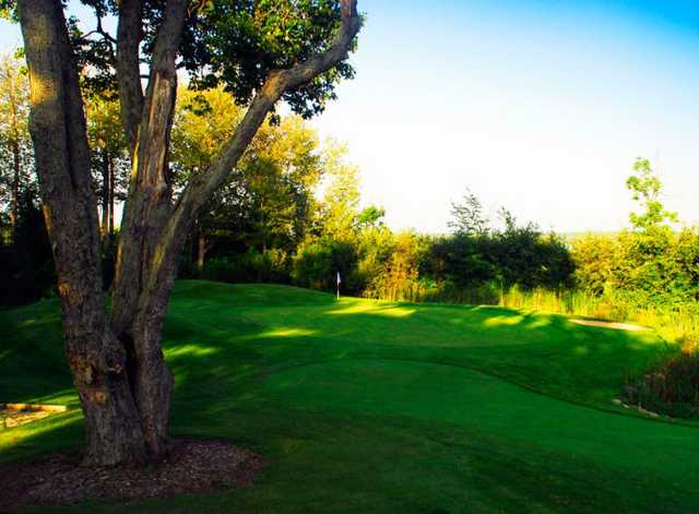 A view of a green at King's Bay Golf and Country Club
