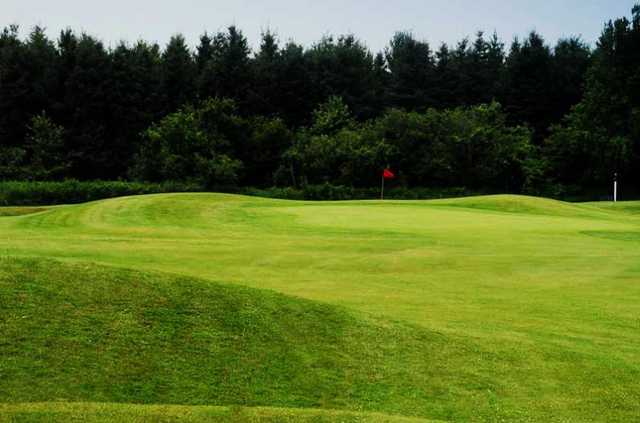 A view from Fergus Golf Club