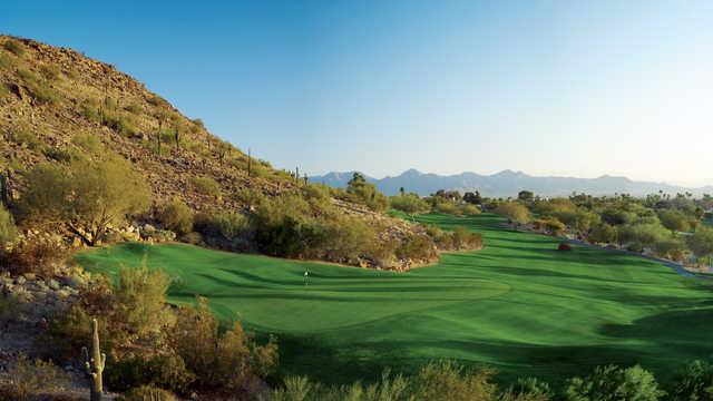 The Phoenician