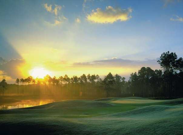 A sunny view from LPGA International