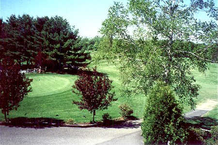 A view of green #2 at Salmon Falls Golf Club