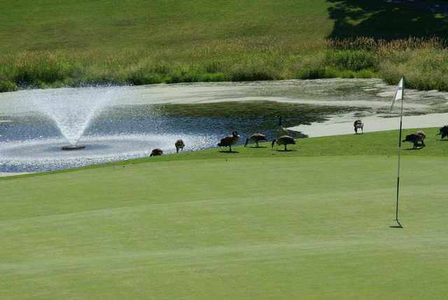 A view of a hole at Baker National Golf Course
