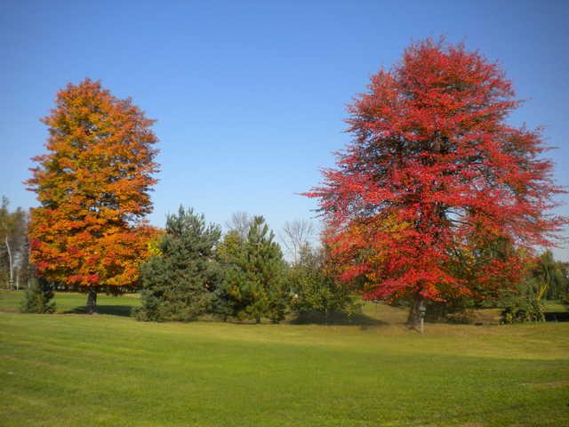 A fall view from Willow Springs Golf & Country Club