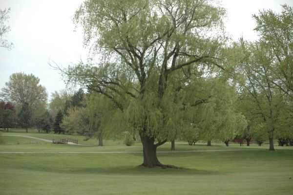 A view from Idyl Wyld Golf Course