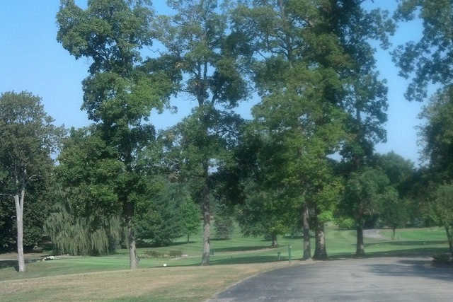 A view from Turtle Creek Golf Course