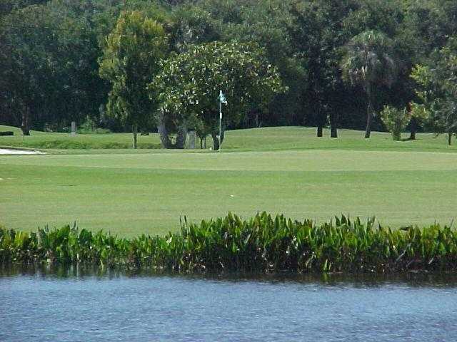 A view of a hole at Plantation on Crystal River