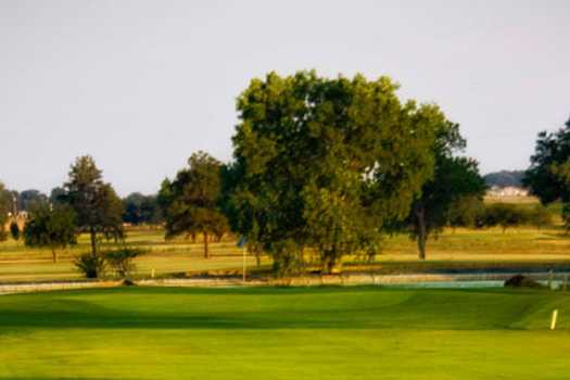 A sunny day view of a green at River Creek Park Golf Course