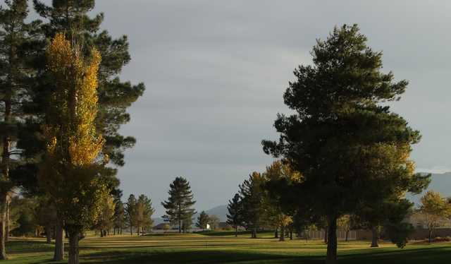 A view of green #18 at Lake View Golf Course