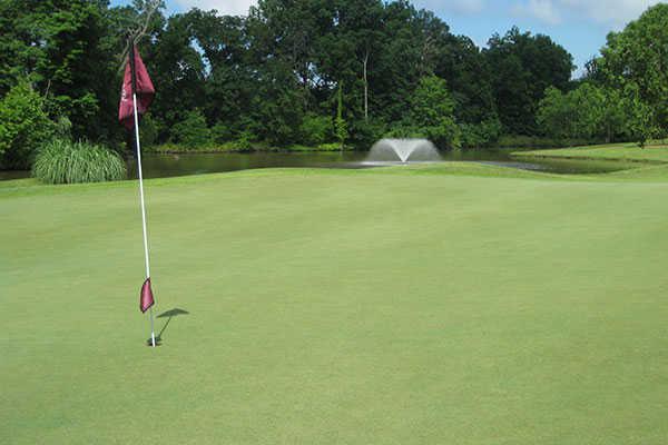 A view of a hole at Hickory Ridge Golf Center