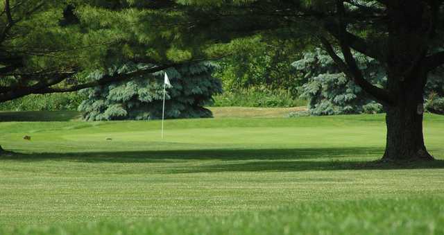 A view of a hole at Sycamore Golf Club.