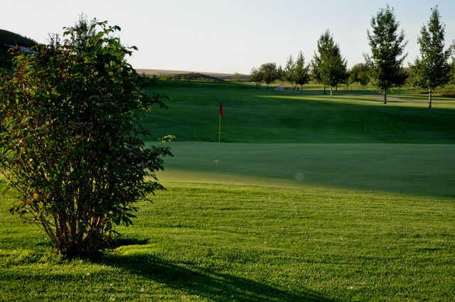 A view of a green at Three Hills Golf Club