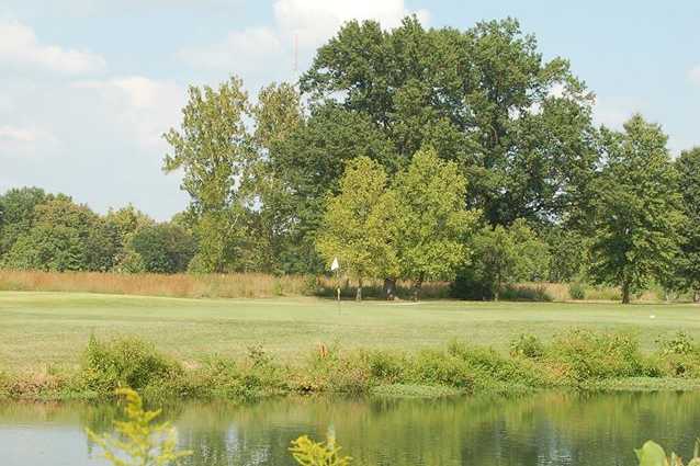 A view of a hole at Forest Park Golf Course