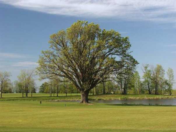 A view from Island Oaks at Lima Golf & Country Club