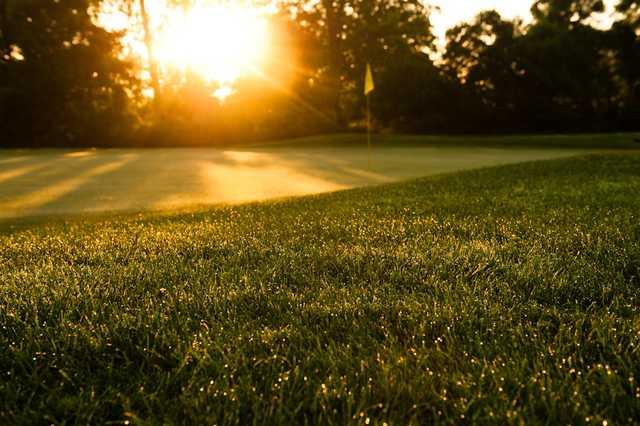 A sunny view of the 15th green at Craigowan Golf Club.