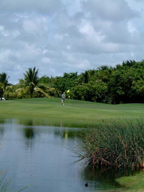 Key West Golf Club: View from #18