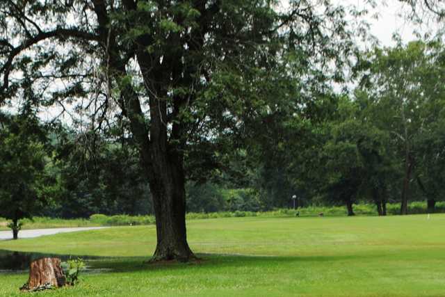 A view from a fairway at Piney Valley Golf Course