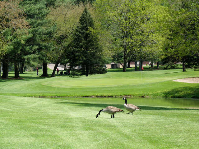 A view of the 13th green at Little Apple Golf Club