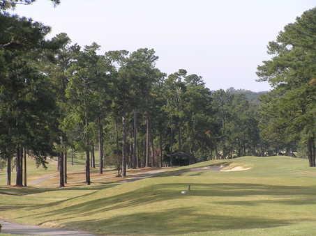 A view from the hole #10 at Forest Hills Golf Club