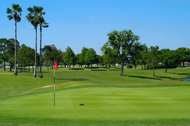 A view of a green at Wedgefield Golf & Country Club