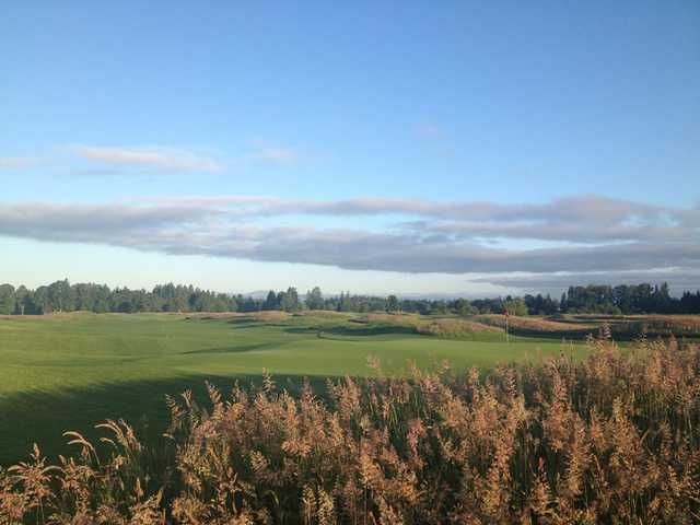 A view of a green at The Reserve Vineyards & Golf Club