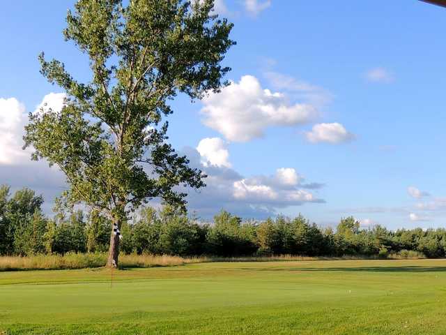 Beaverton Golf Club Tee Times - Beaverton ON