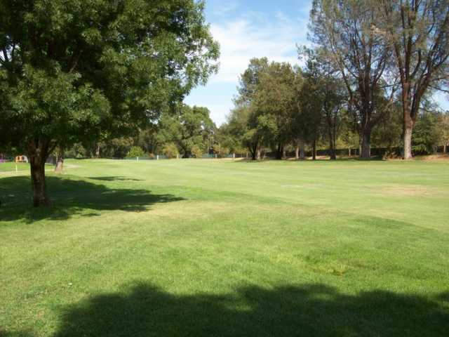A view from River Tasalmi GC