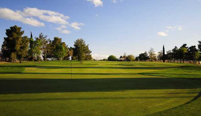 A view of the 8th green at Green Tree Golf Course