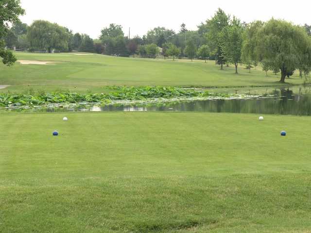 A view from a tee at Forest Park Golf Course