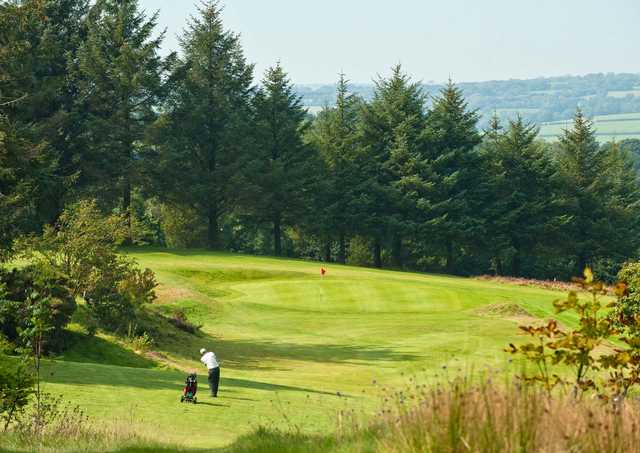 A sunny day view of a green at Carmarthen Golf Club