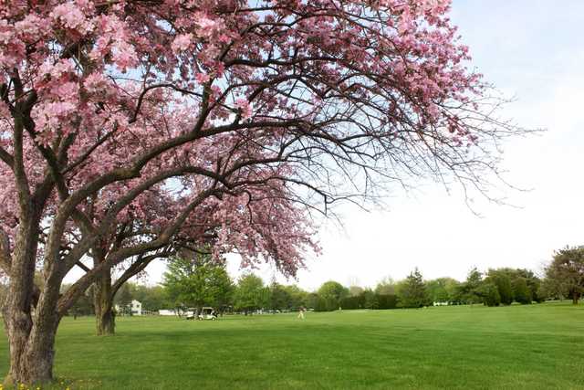 A spring view of a fairway at Bowling Green Country Club